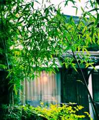 雨巷擔遮嘅姑娘，比水墨畫更溫柔，