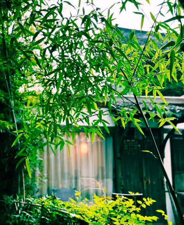 雨巷擔遮嘅姑娘，比水墨畫更溫柔，
