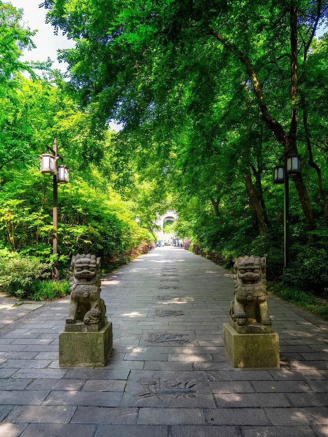 滁州旅遊必備攻略（超全）