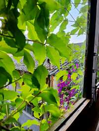 暑假親子好去處 稻田捉魚 賞侗族大歌