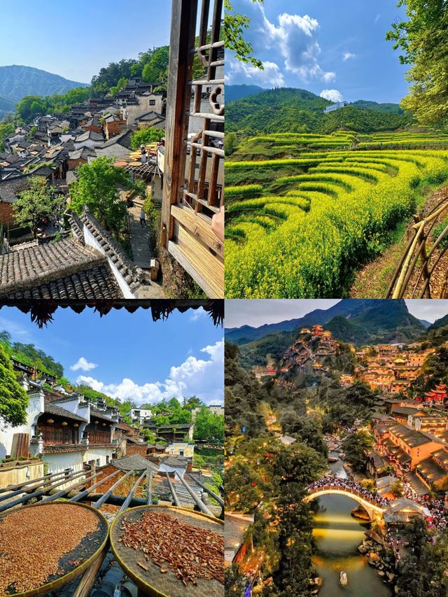 清明6個好去處！