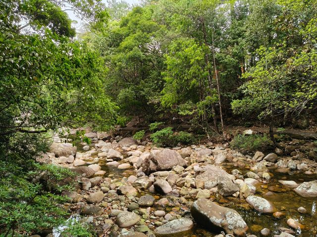 十萬大山國家森林公園