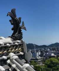 日本行·神戶周邊姬路城。
藍天下如白鷺高飛