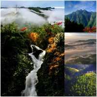 【井岡春韻：紅與綠交織的沉浸式旅行】