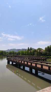 打卡太湖圖影濕地文化園