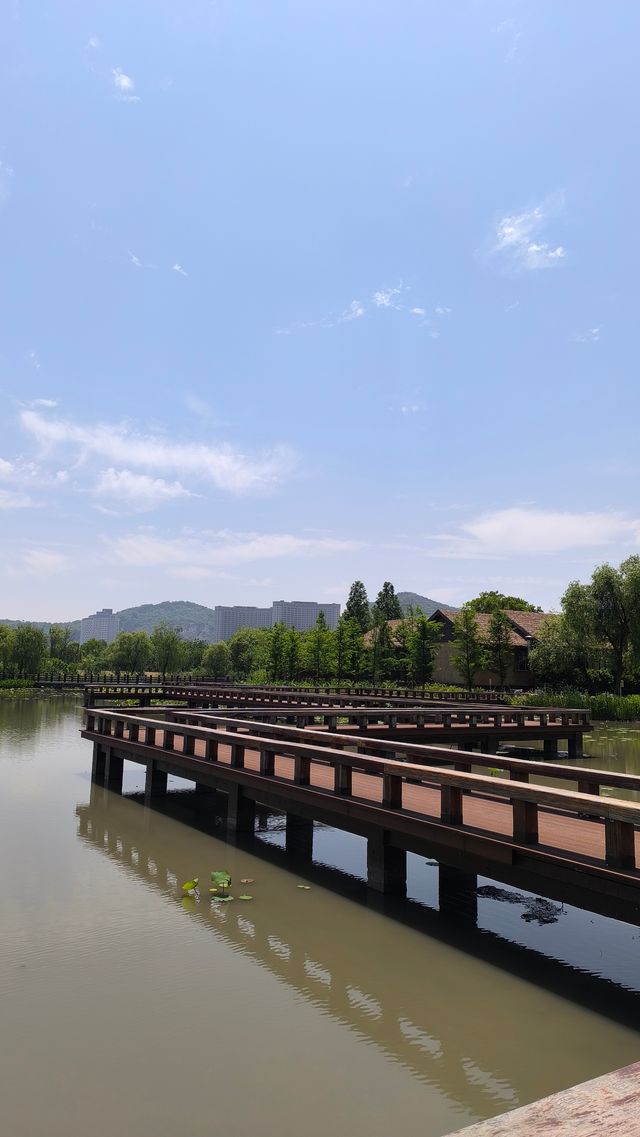 打卡太湖圖影濕地文化園