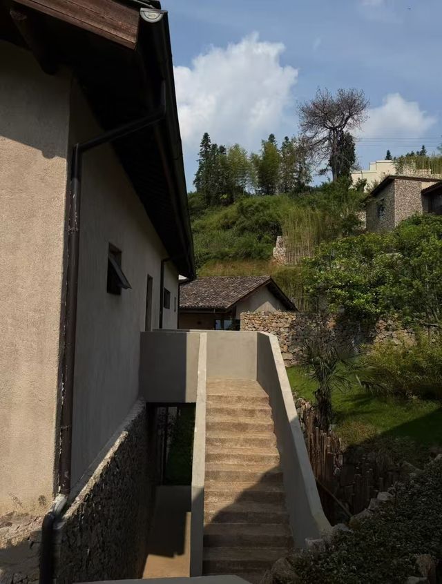 竹林下乘涼，住進山裡，橫峰葛源西坡寶藏民宿!!
