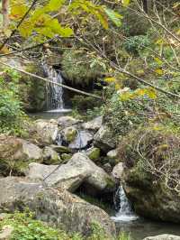 《山靄深處：與簷角苔衣的千年私語》