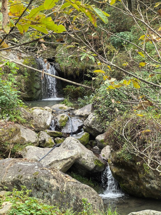 《山靄深處：與簷角苔衣的千年私語》