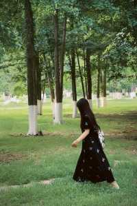 臨沂周邊週末遊：春夏嘅生生園靜謐生機