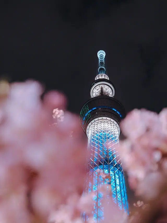 워너 브라더스 스튜디오 투어 도쿄 - 더 메이킹 오브 해리 포터 티켓 할인, 운영 시간, 후기 [2025년] | Trip.com