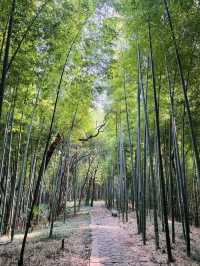 打工仔週末旅行第38站安徽 馬鞍山