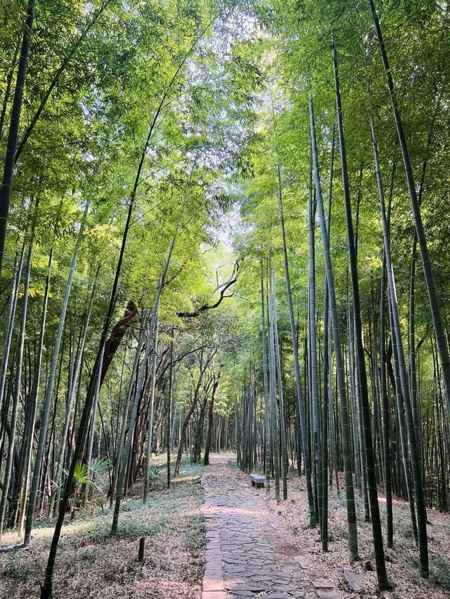 打工仔週末旅行第38站安徽 馬鞍山