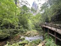 Magical 4 days in Zhangjiajie Park 