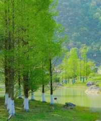 漫步花海，相伴花海