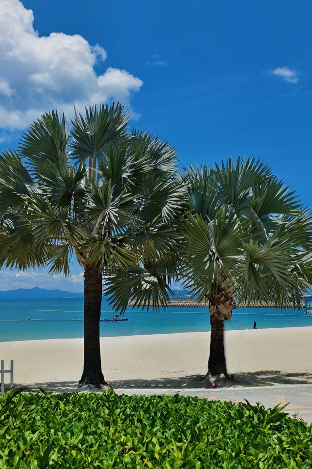 深圳獨家潮趣旅行指南，解鎖鵬城新玩法