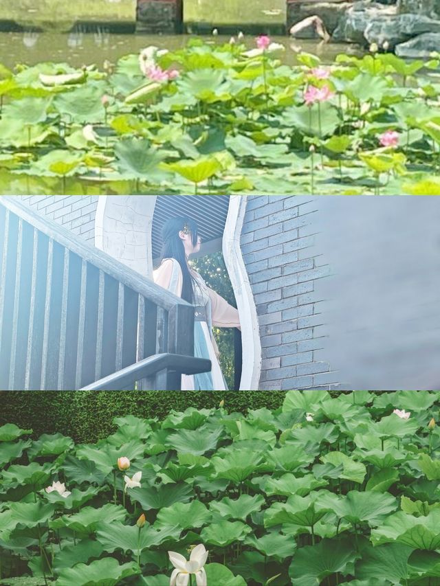 呢個蘇州度假村！將江南水鄉嘅浪漫藏起咗！