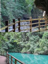 張家界撒歡指南｜喺奇峰秀水入面做野生玩家