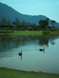 高橋里｜搵到理想嘅山水田園隱居目的地
