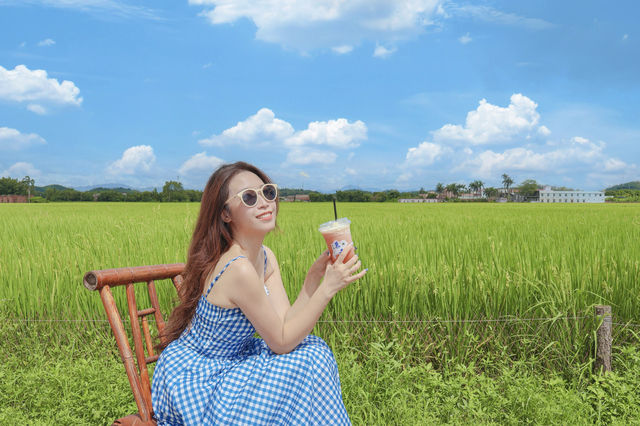 江門 | 走進宮崎駿嘅夏天！只想發呆一個下晝！