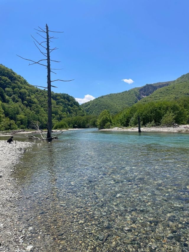 上高地嘅初夏物語｜闖入日本阿爾卑斯嘅藍綠幻境