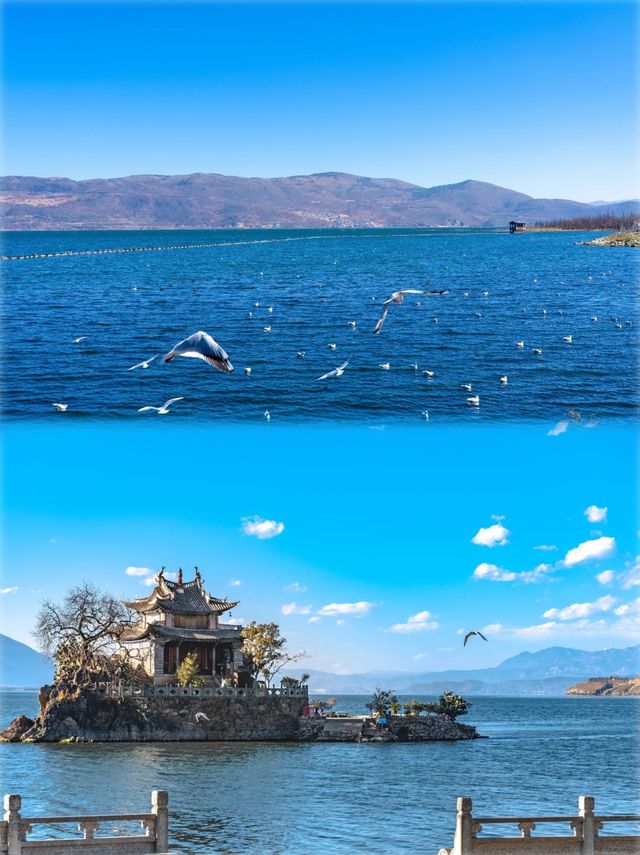 6日玩轉雲南超詳細攻略速覽