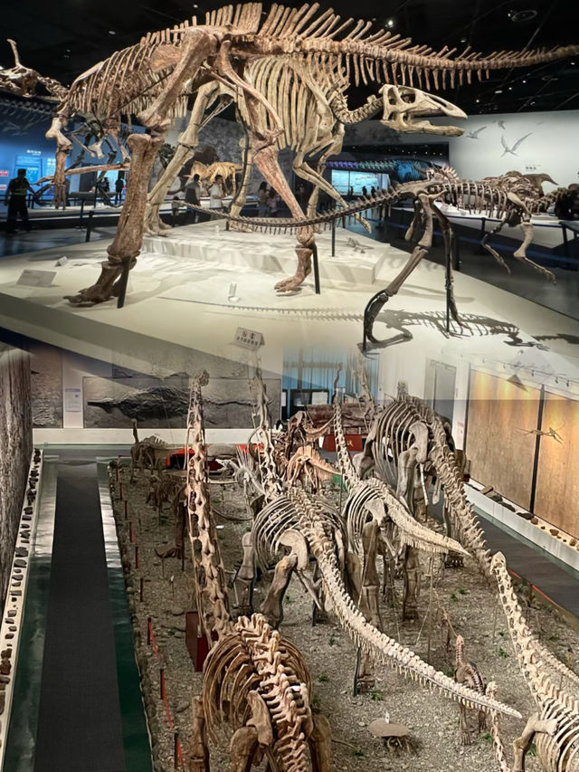 【爆款攻略】成都隱藏版侏羅紀公園！雙流海濱城恐龍館尖叫玩法