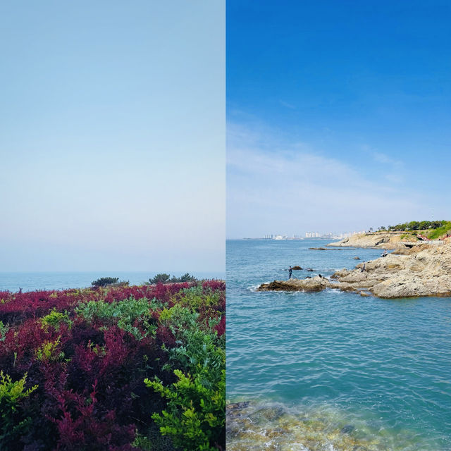 青島私藏秘境！靈山島2天1夜避世攻略：懸崖燈塔×橘子海日落"