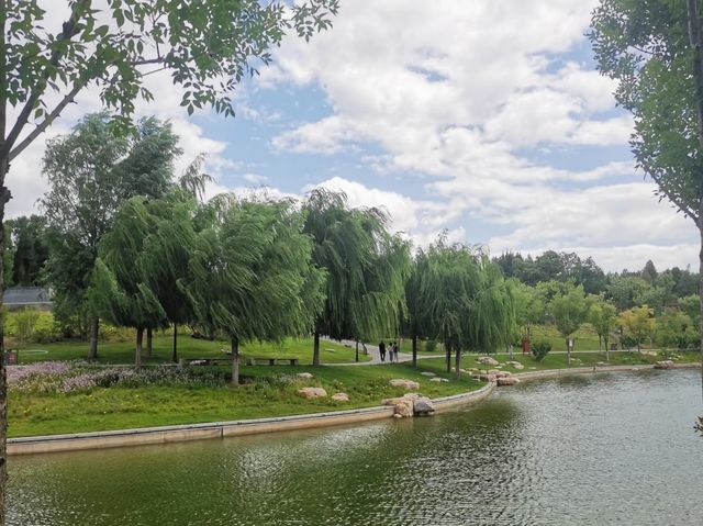 去咗4次雙塔公園，終於玩到明晒！