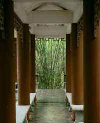 南寧狮山公園拍照秘境分享