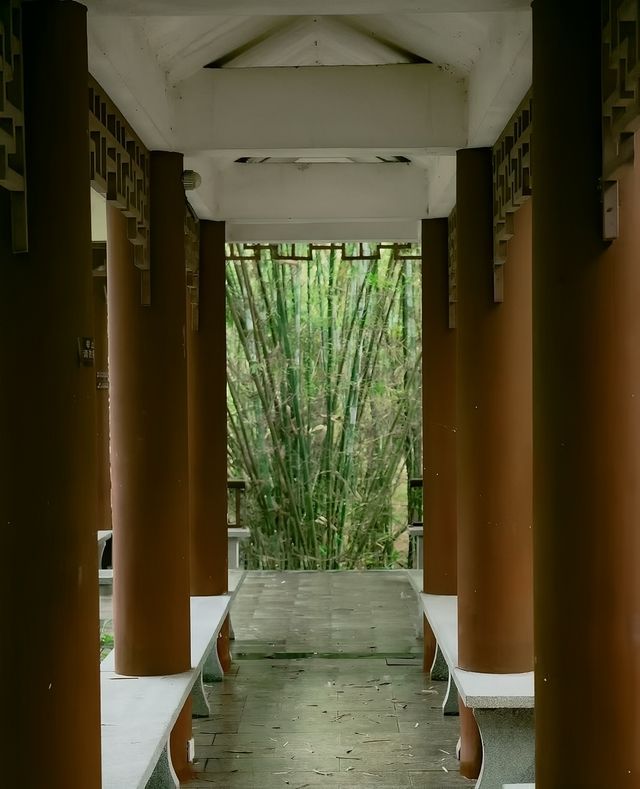 南寧狮山公園拍照秘境分享