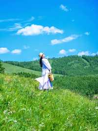 山坡上花開，我與春風撞個滿懷