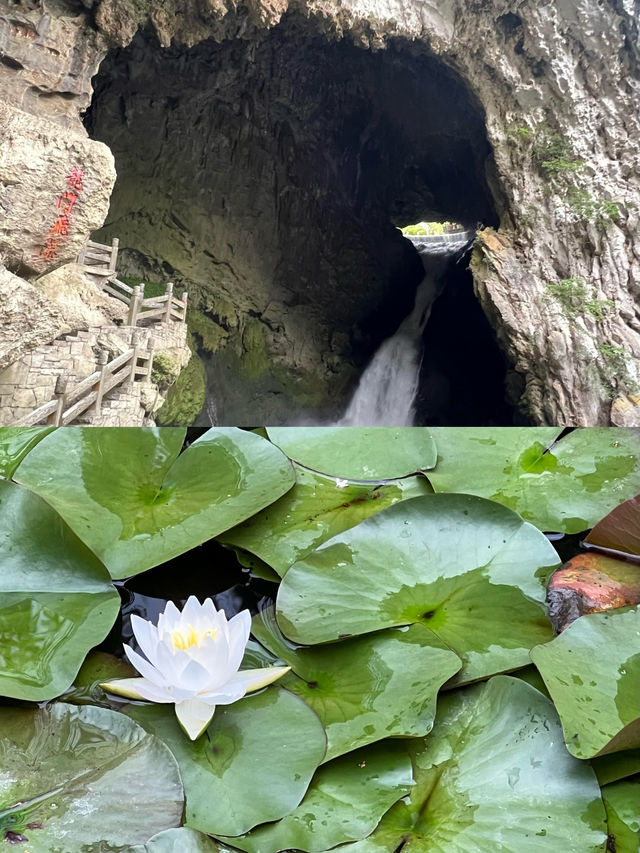 馬嶺河峽谷百瀑飛流的「天溝地縫」荔波小七孔68級跌水的山