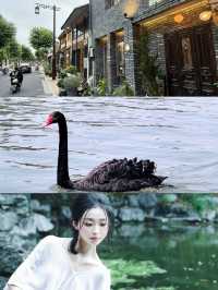 上海周邊親子遊，揚州藏著咩驚喜？