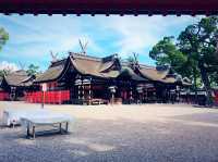 **【穿越千年的神祕祈願！大阪住吉大社親身體驗】**  
