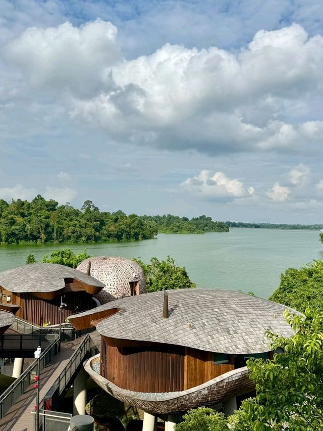 BANYAN TREEHOUSE  in Mandani Resort Singapore🤩