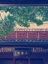 穿越千年的木構奇蹟】寧波保國寺震撼體驗**  