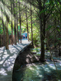 🔥Who hasn't visited 25°C Jiuzhaigou in the middle of summer yet~