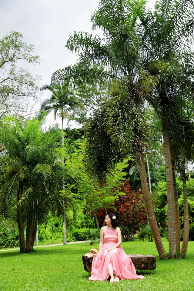 西雙版納|走進熱帶植物園，開啟一場奇幻的自然之旅