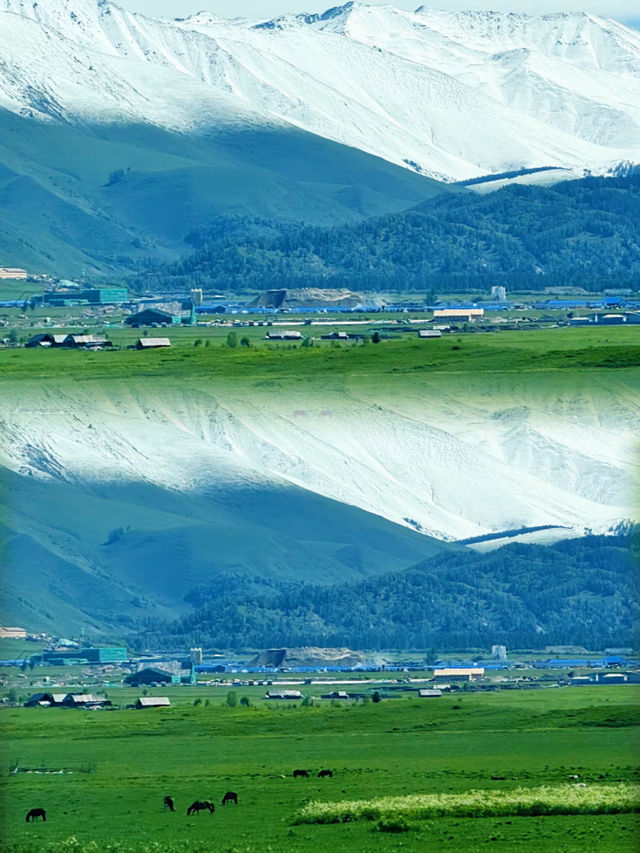 誰懂在阿勒泰追雪的快樂！冬天的新疆真的美到失語，沉浸式感受冰雪童話世界  3日追雪路線 Da