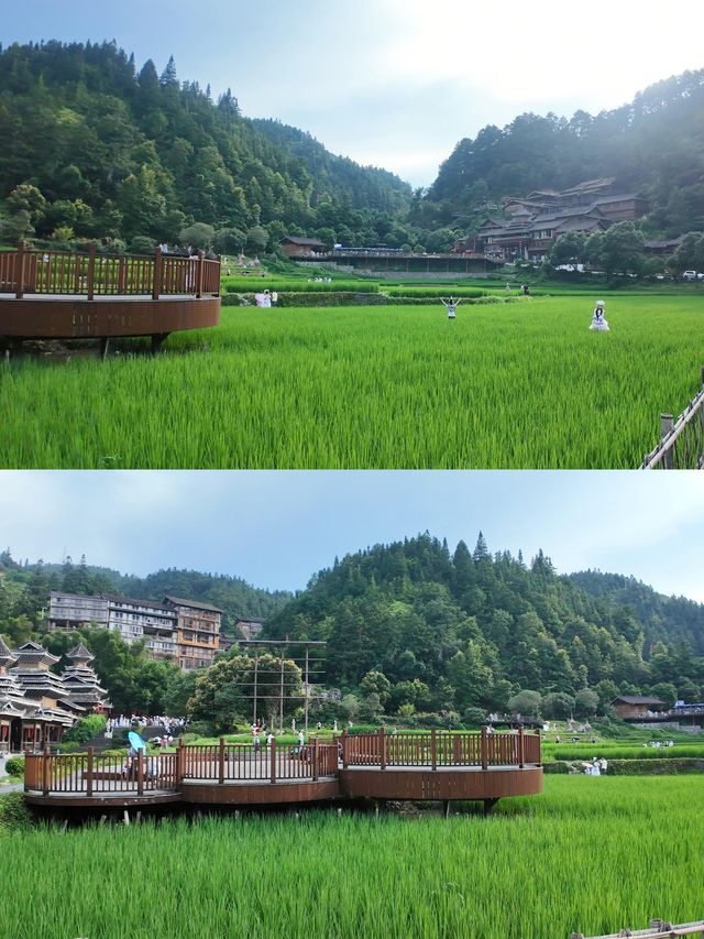 黔東南5天4夜避暑之旅：深入26℃深山梯田，捉稻花魚、聽侗族大歌
