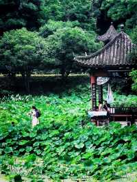 藏喺重慶九龍坡嘅心靈淨土華岩寺