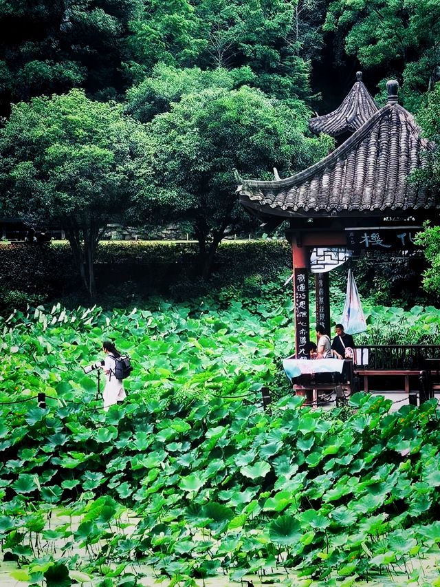 藏喺重慶九龍坡嘅心靈淨土華岩寺