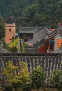 玄中寺：淨土祖庭的千年回響
