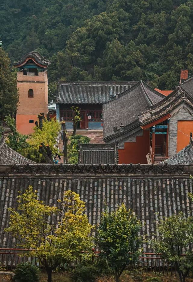 玄中寺：淨土祖庭的千年回響