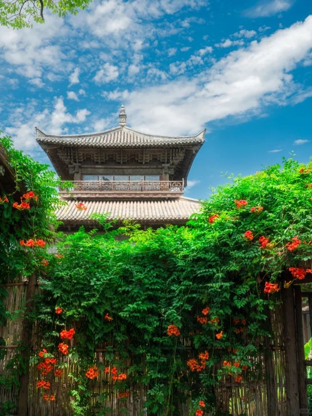 抓住夏天尾巴，與凌霄共赴水尚生活之約！