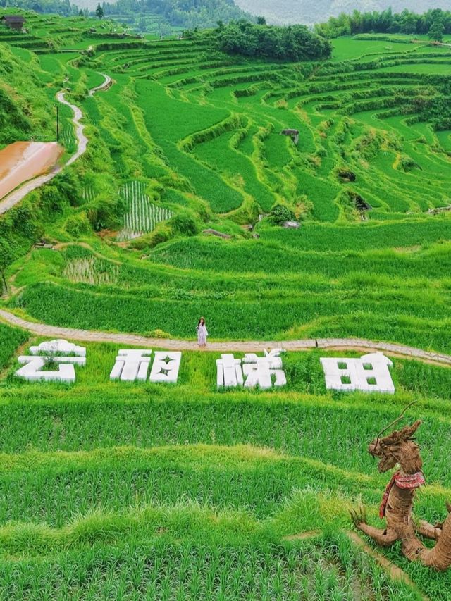 浙江麗水雲和，山青水美的寶藏小城