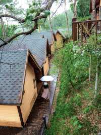 就在廣東信宜住進森林樹屋，天然氧吧！