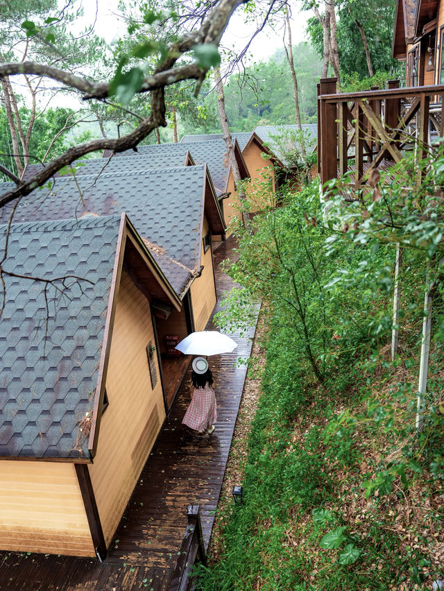 就在廣東信宜住進森林樹屋，天然氧吧！