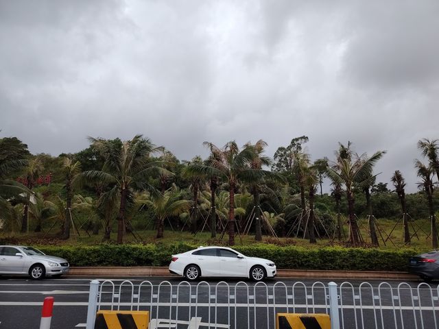 澳門旅行日記颱風天也不怕的快樂攻略！
